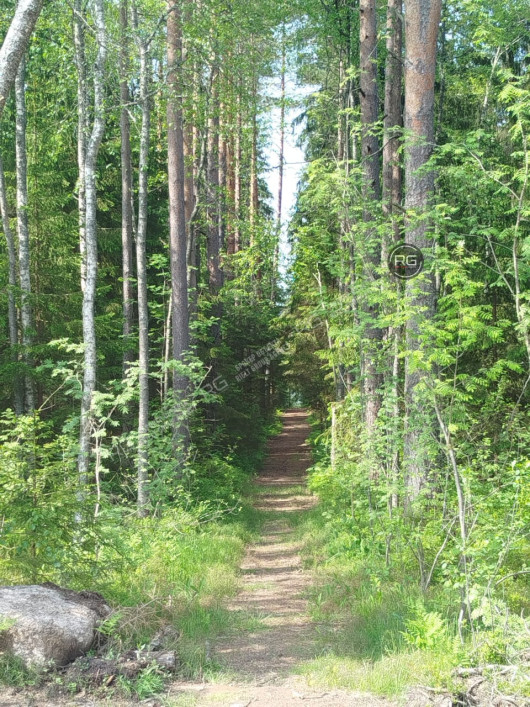 Участок у озера, первая линия!, 9,3 соток, Ленинградская область, Выборгский район, Журналист снт